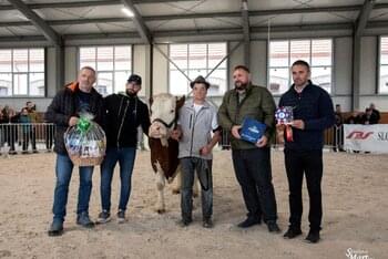 3. Simmental Cup – 3. laktácie  2. miesto - Žiarec PD Tvrdošín