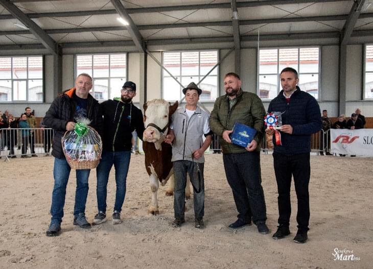 3. Simmental Cup – 3. laktácie  2. miesto - Žiarec PD Tvrdošín